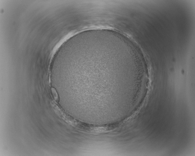 X0000051911173200507152023