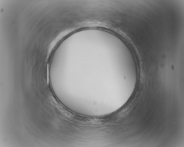 X0000051911175200507152023