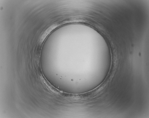 X0000051911177200507152023