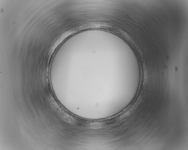 X0000051911178200507152023