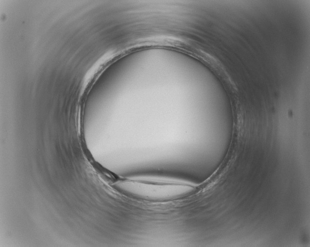 X0000051911180200507152023