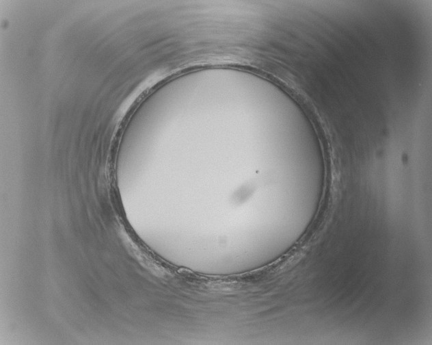 X0000051911181200507152023