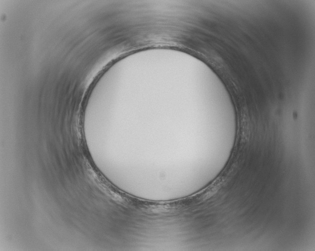 X0000051911182200507152023