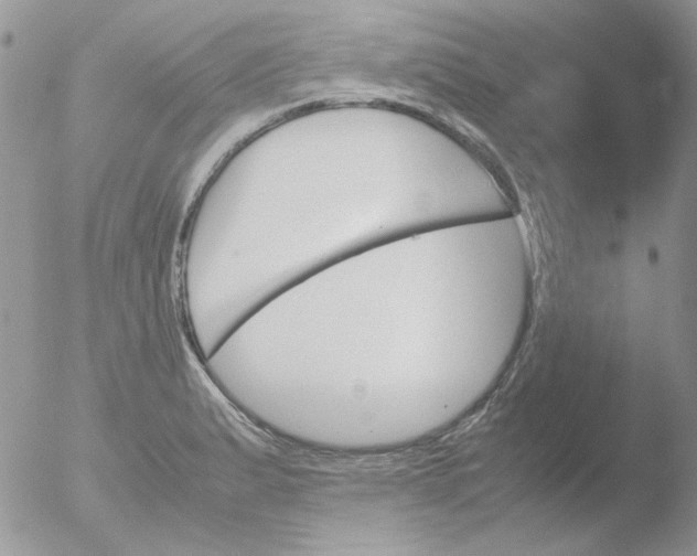 X0000051911183200507152023