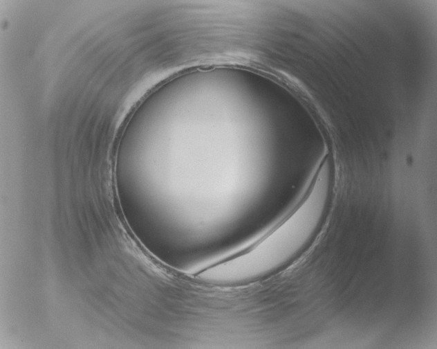 X0000051911184200507152023