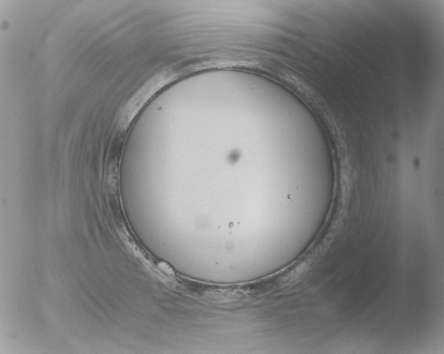 X0000051911185200507152023