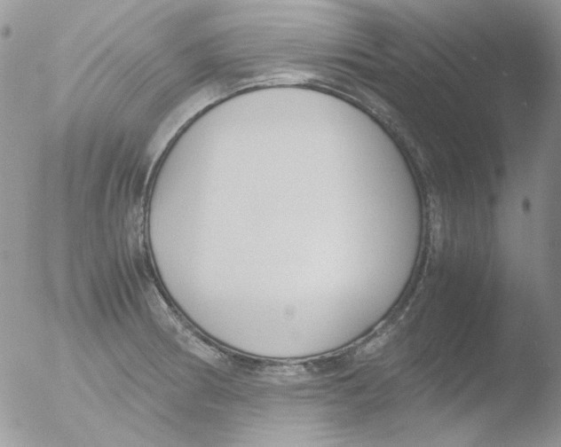 X0000051911186200507152023