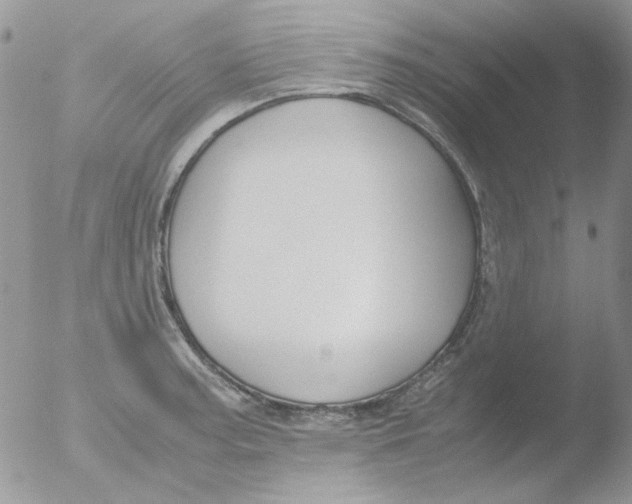 X0000051911187200507152023