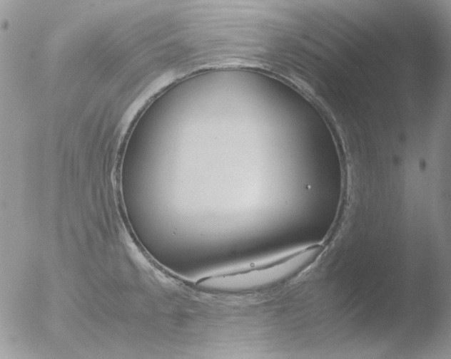 X0000051911189200507152023