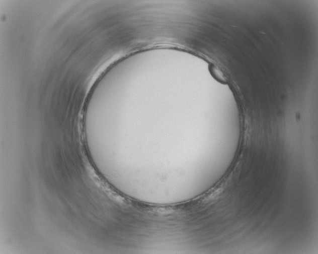 X0000051911190200507152023