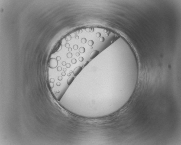 X0000051911191200507152023