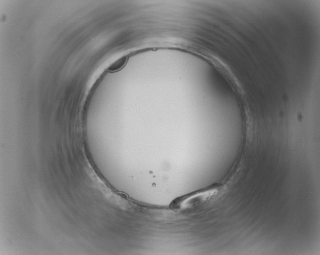 X0000051911192200507152023