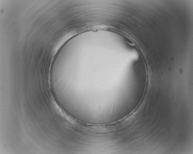 X0000051911194200507152023