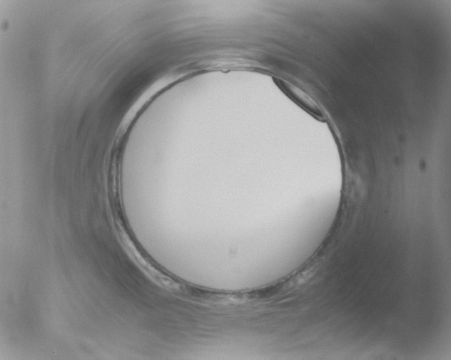 X0000051911195200507152023