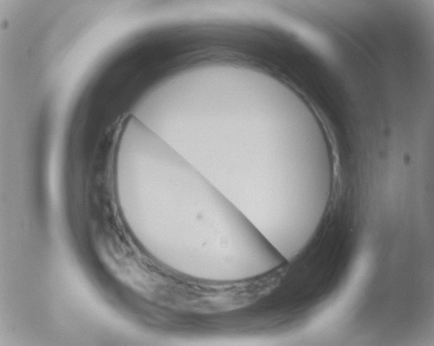 X0000051911199200507152023