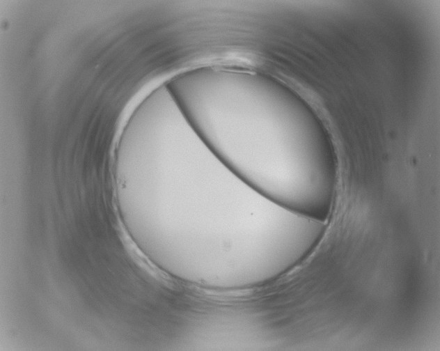 X0000051911200200507152023