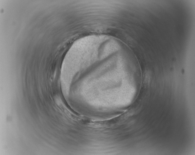 X0000051911202200507152022