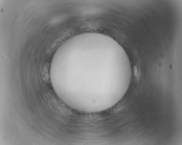 X0000051911203200507152022