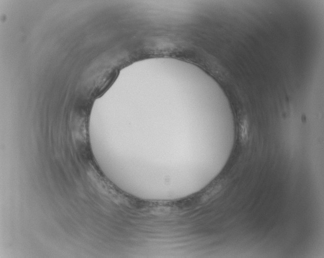 X0000051911204200507152022