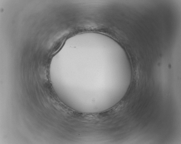 X0000051911205200507152022