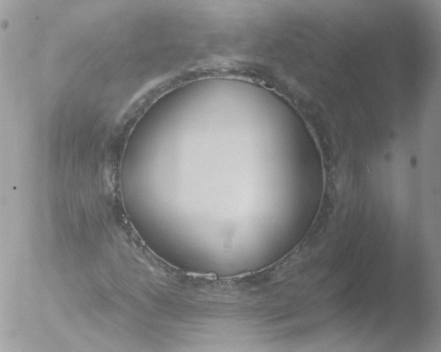 X0000051911206200507152022