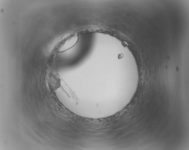 X0000051911207200507152022