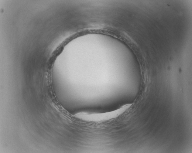 X0000051911208200507152022