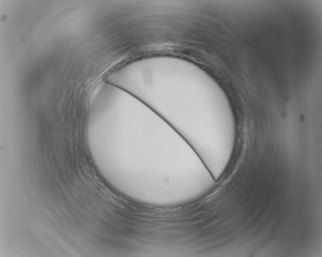 X0000051911209200507152022