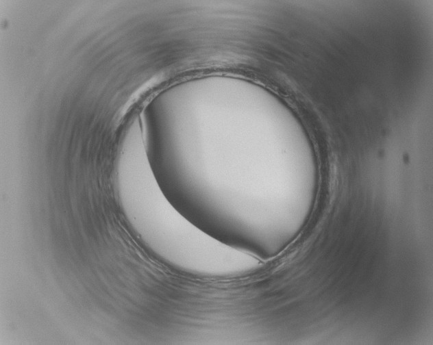 X0000051911210200507152022