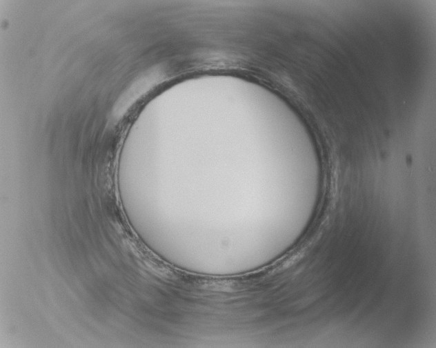 X0000051911211200507152022