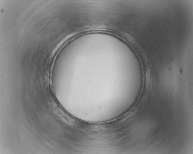 X0000051911212200507152022