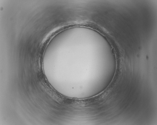 X0000051911214200507152022