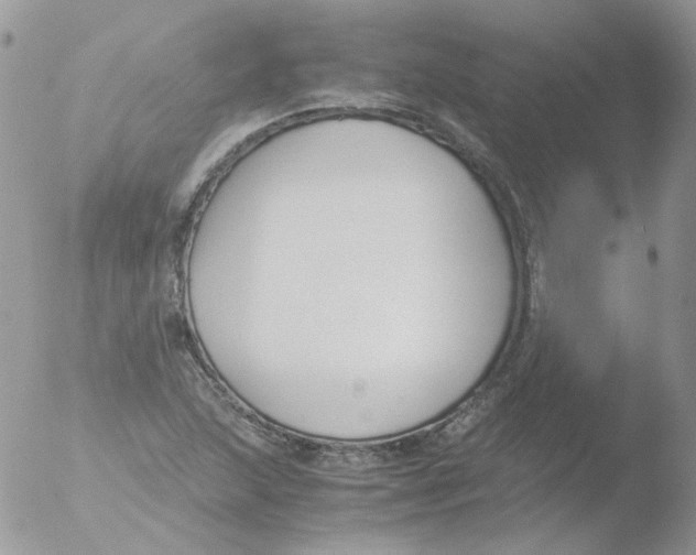 X0000051911215200507152022