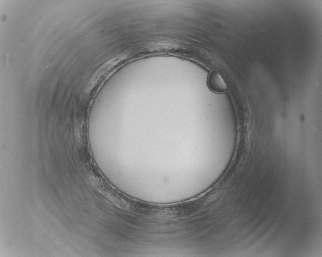 X0000051911217200507152022