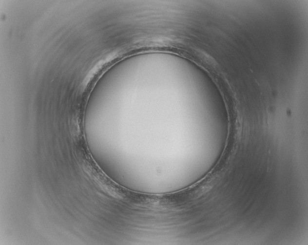 X0000051911218200507152022