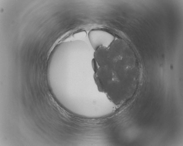 X0000051911220200507152022