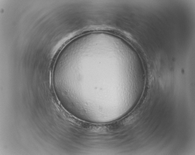 X0000051911221200507152022