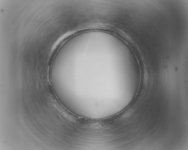 X0000051911222200507152022