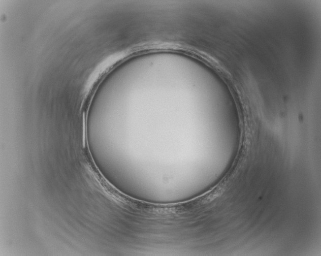 X0000051911223200507152022