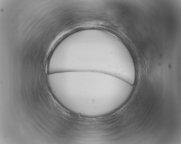 X0000051911224200507152022