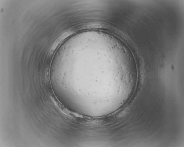 X0000051911225200507152022