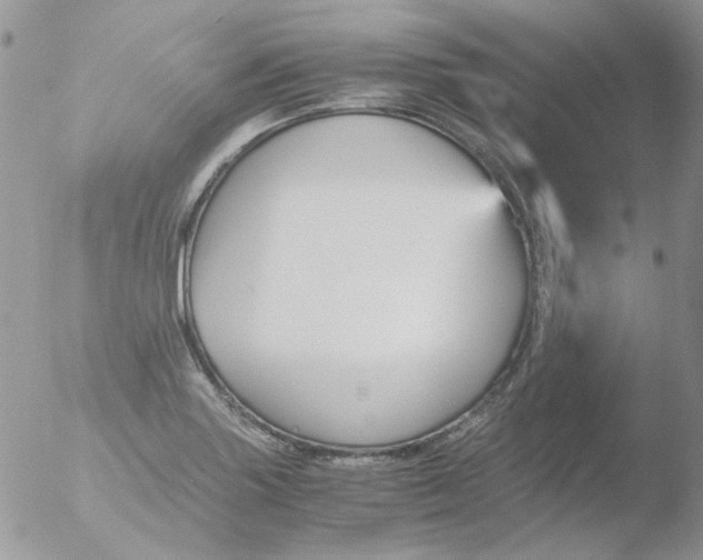 X0000051911227200507152022