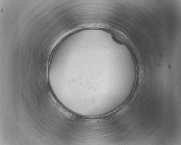 X0000051911228200507152022