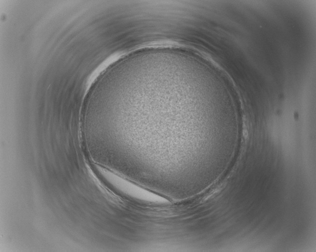 X0000051911229200507152022