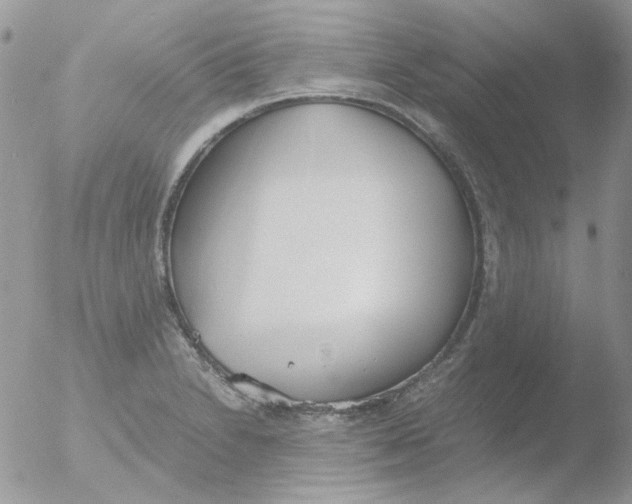 X0000051911230200507152022