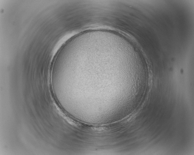 X0000051911231200507152022