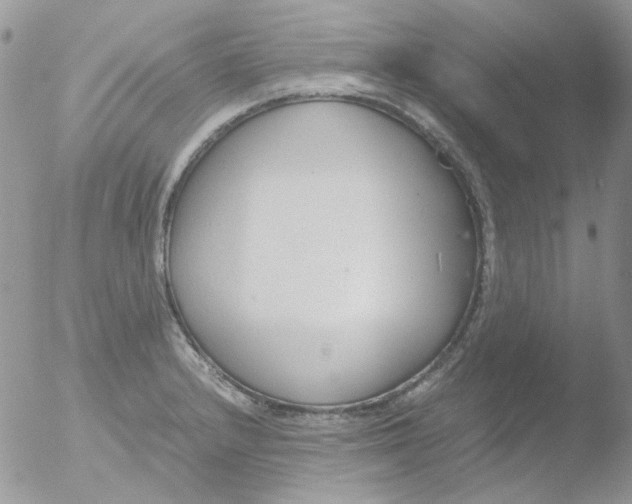 X0000051911232200507152022