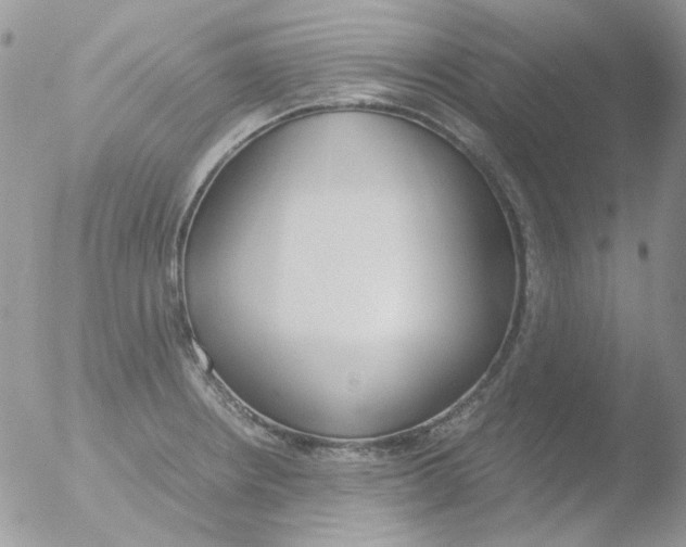 X0000051911234200507152022