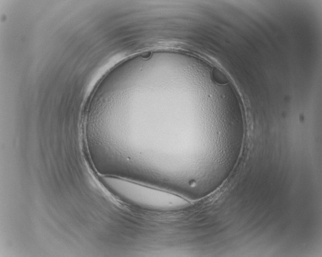 X0000051911235200507152022