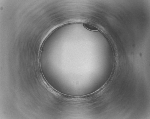 X0000051911236200507152022